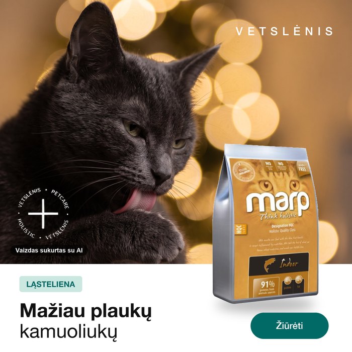 Gyvūnų maisto reklama, pirma karuselės kortelė