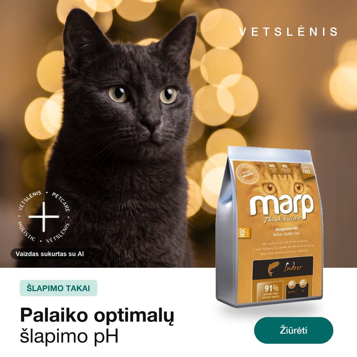 Gyvūnų maisto reklama, antra karuselės kortelė