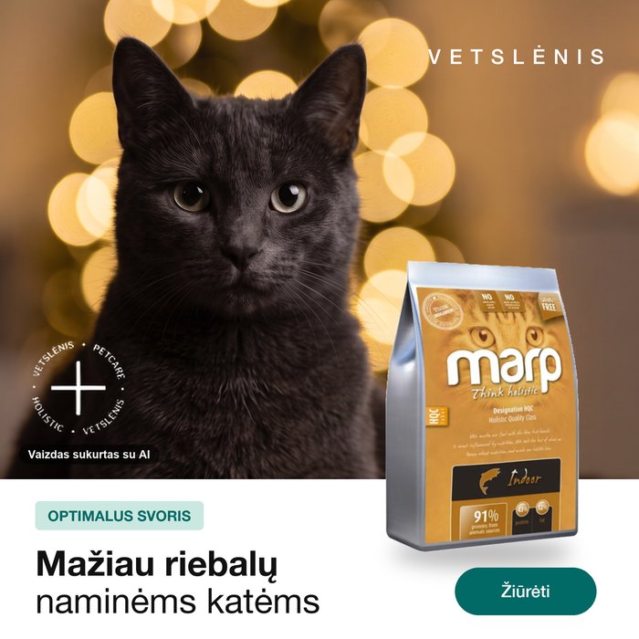 Gyvūnų maisto reklama, trečia karuselės kortelė